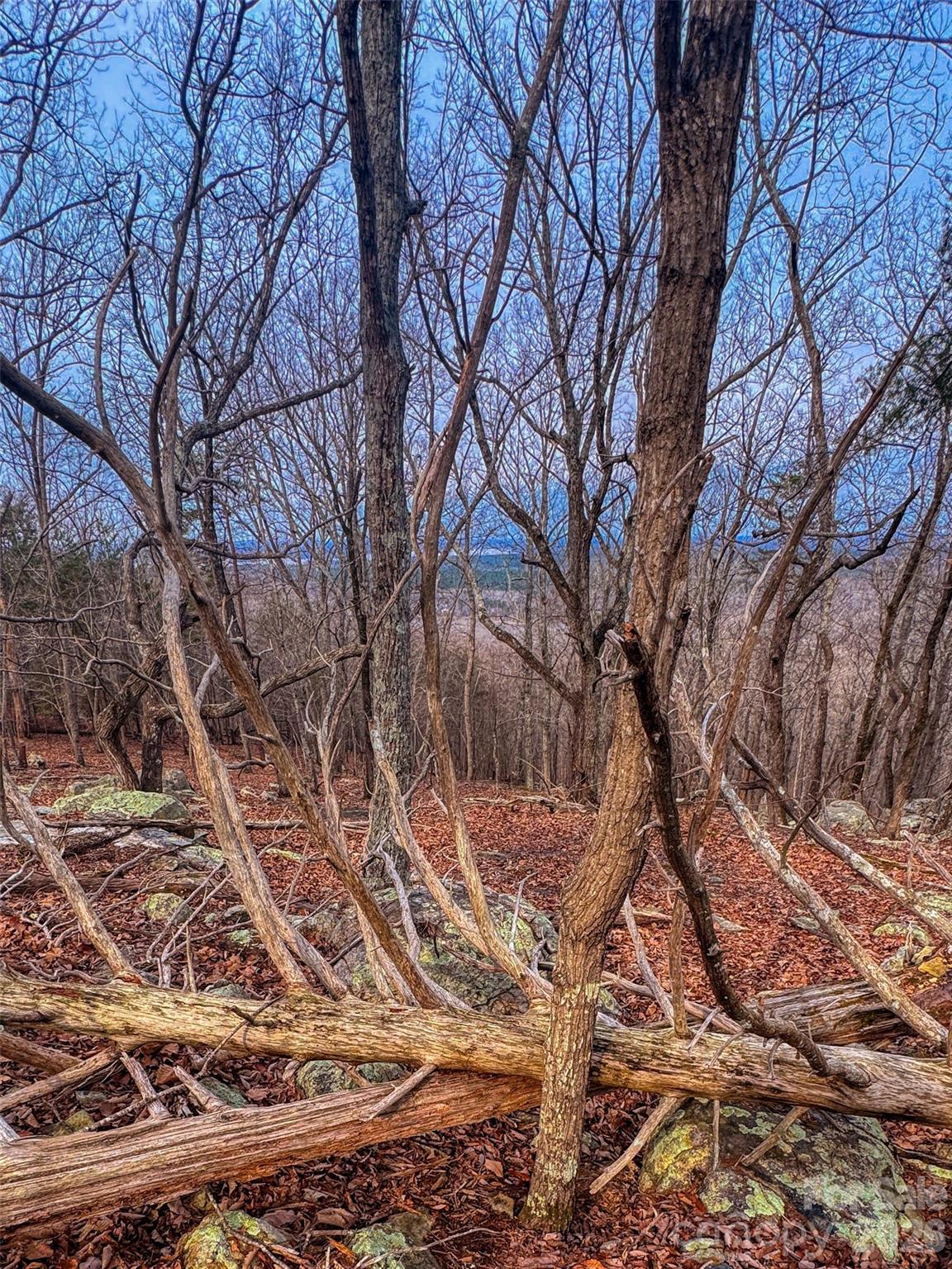 2243 Sierra Trace Road