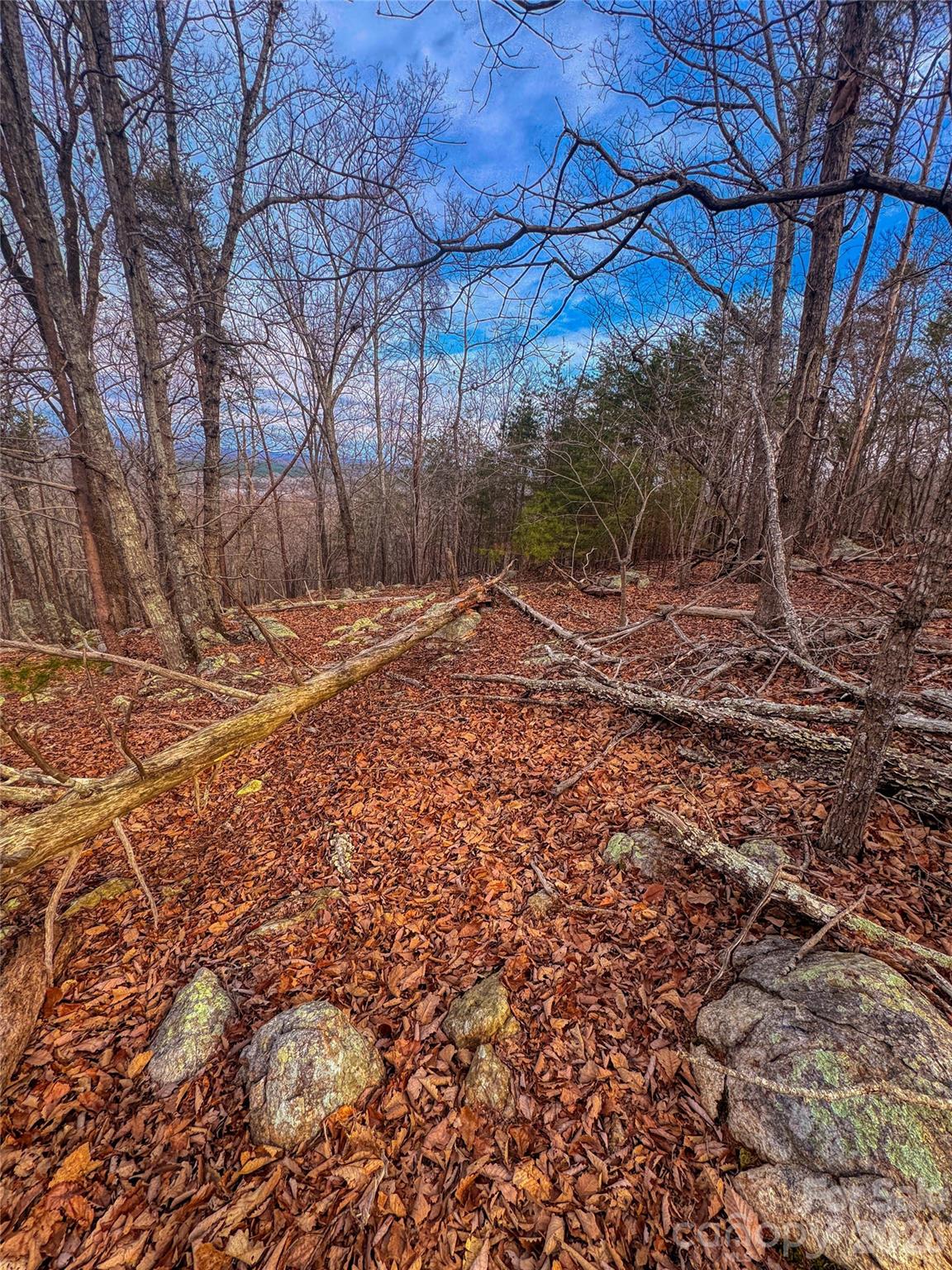 2243 Sierra Trace Road