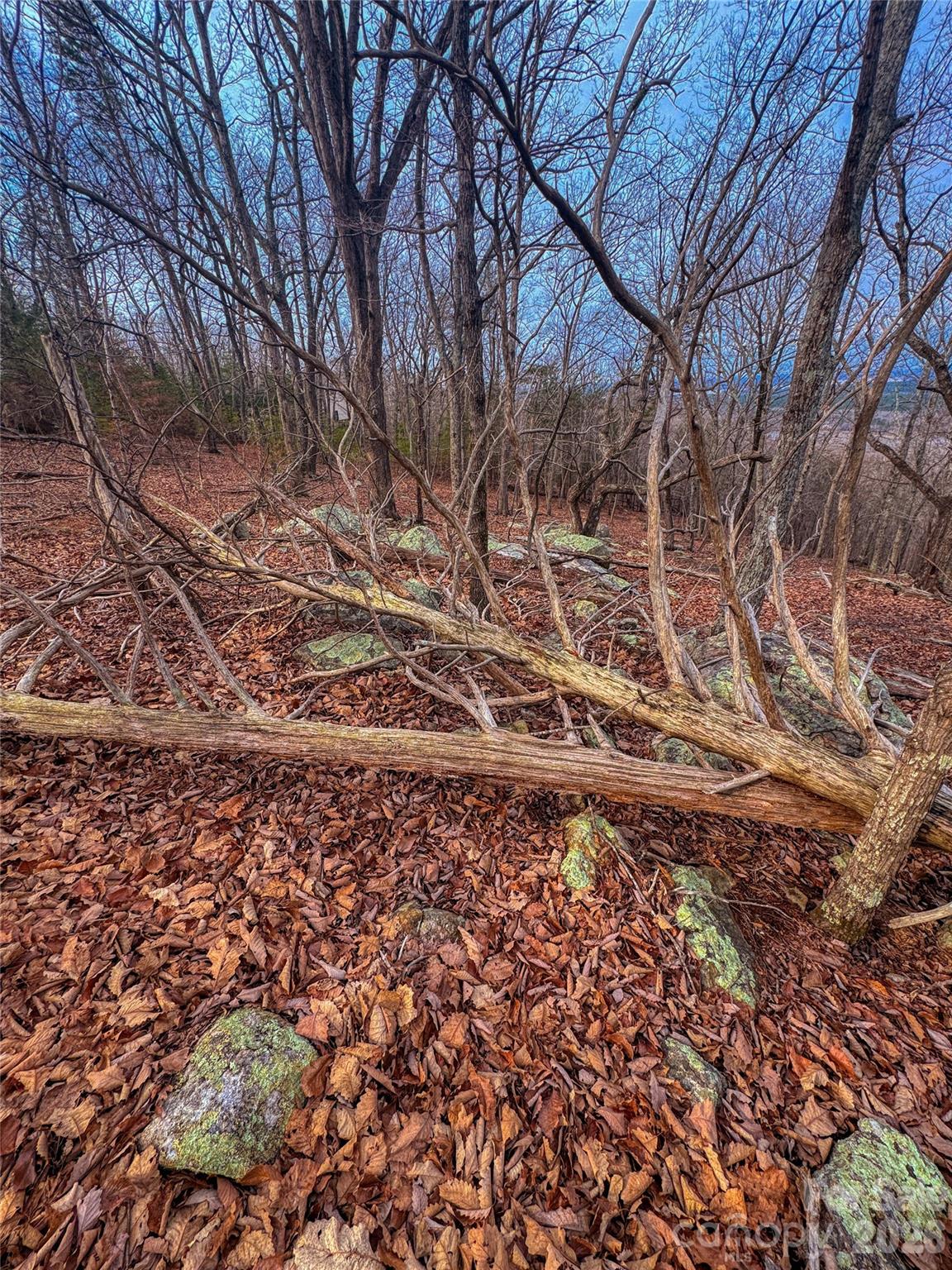 The Springs At High Rock - Land