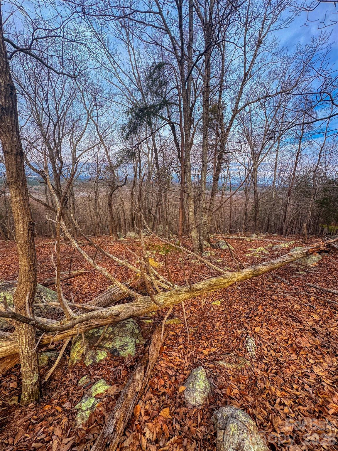 2243 Sierra Trace Road