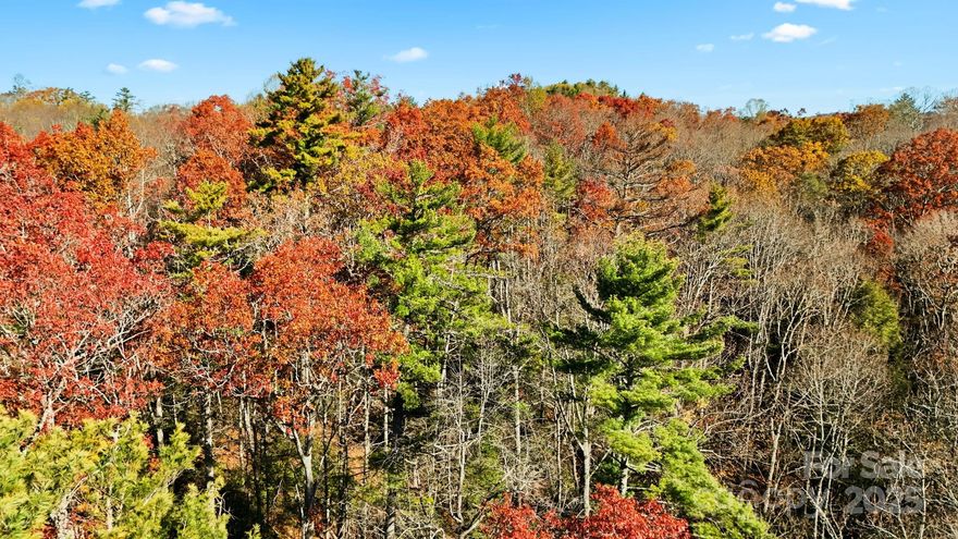 Buy one or both parcels! 

Discover two beautiful lots offering the perfect blend of natural beauty and convenience! These gently sloping properties provide flatter terrain ideal for building, making your mountain getaway or full-time residence a reality. A current septic permit is already in place, saving you time and expense as you plan your build.

Enjoy the peaceful sounds of the nearby creek, with easy creek access right from your property — perfect for relaxing or exploring nature just steps from your future home.

Located in a prime central location near the Blue Ridge Parkway and historic Linville Falls, you’ll have quick access to hiking, waterfalls, and all the charm of the High Country while still being within easy reach of local amenities.

Whether you’re looking for a private retreat or an investment in one of North Carolina’s most scenic areas, these lots offer the perfect foundation for your mountain lifestyle.