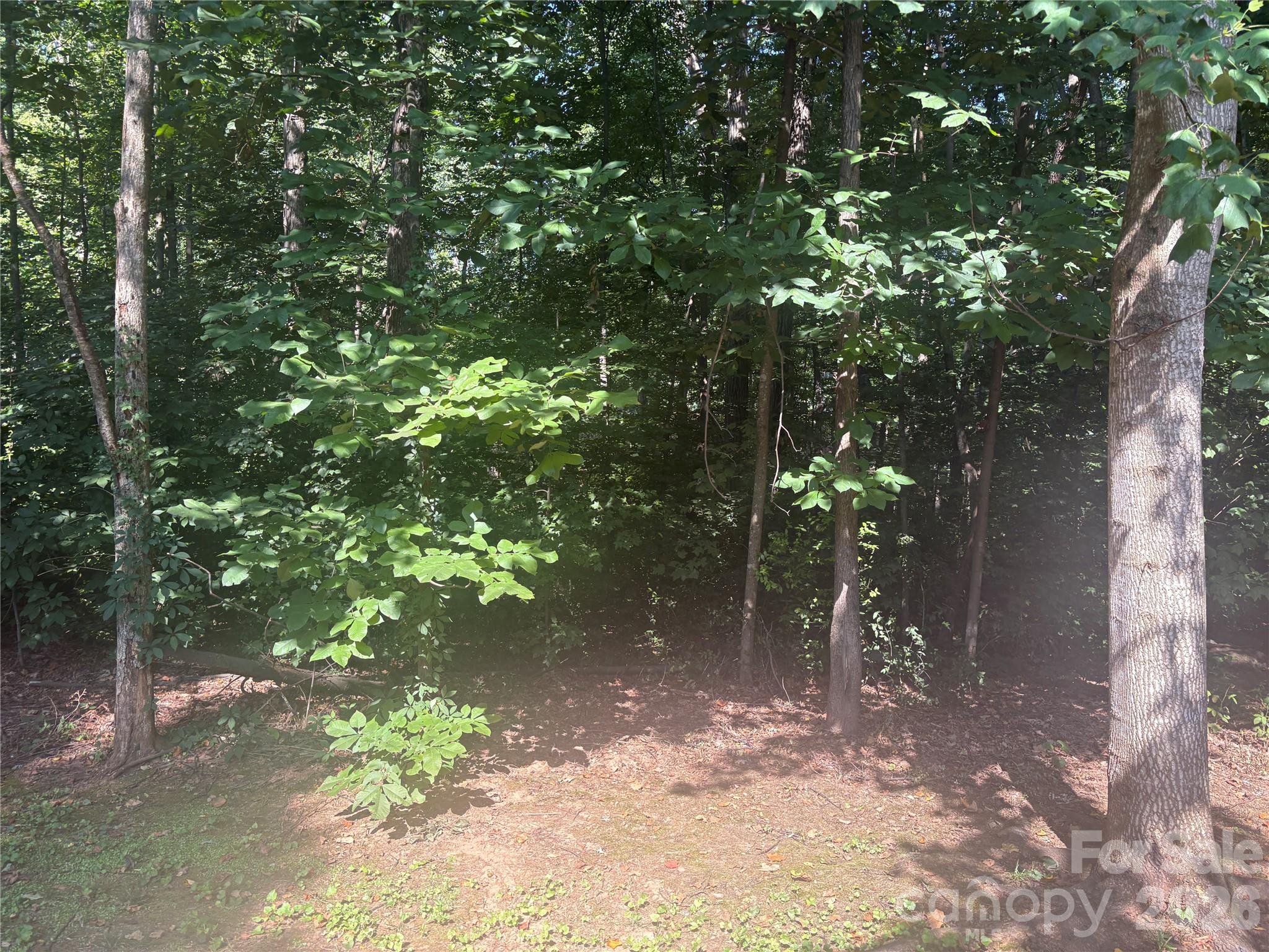 427 Deauville Road