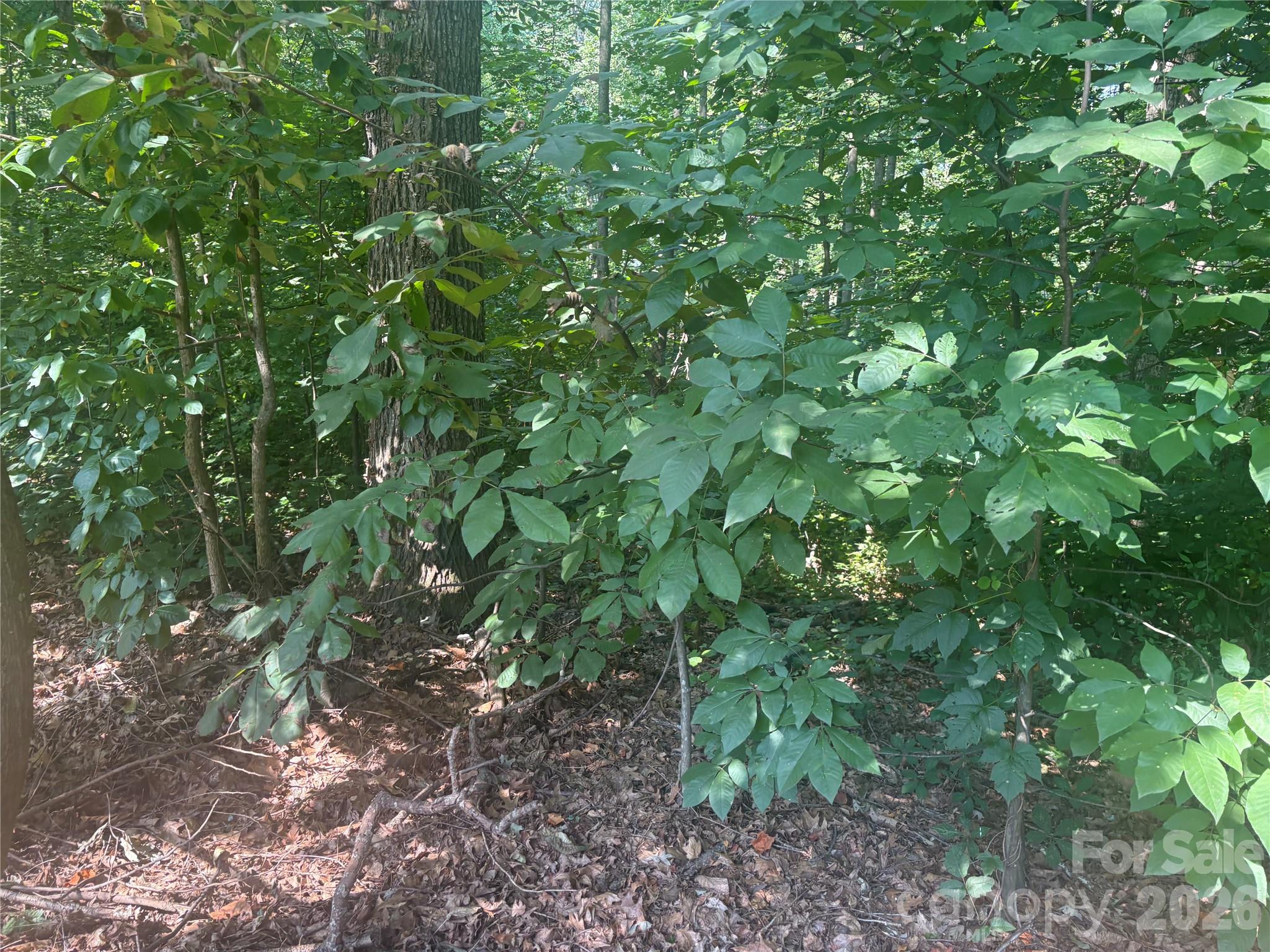 427 Deauville Road