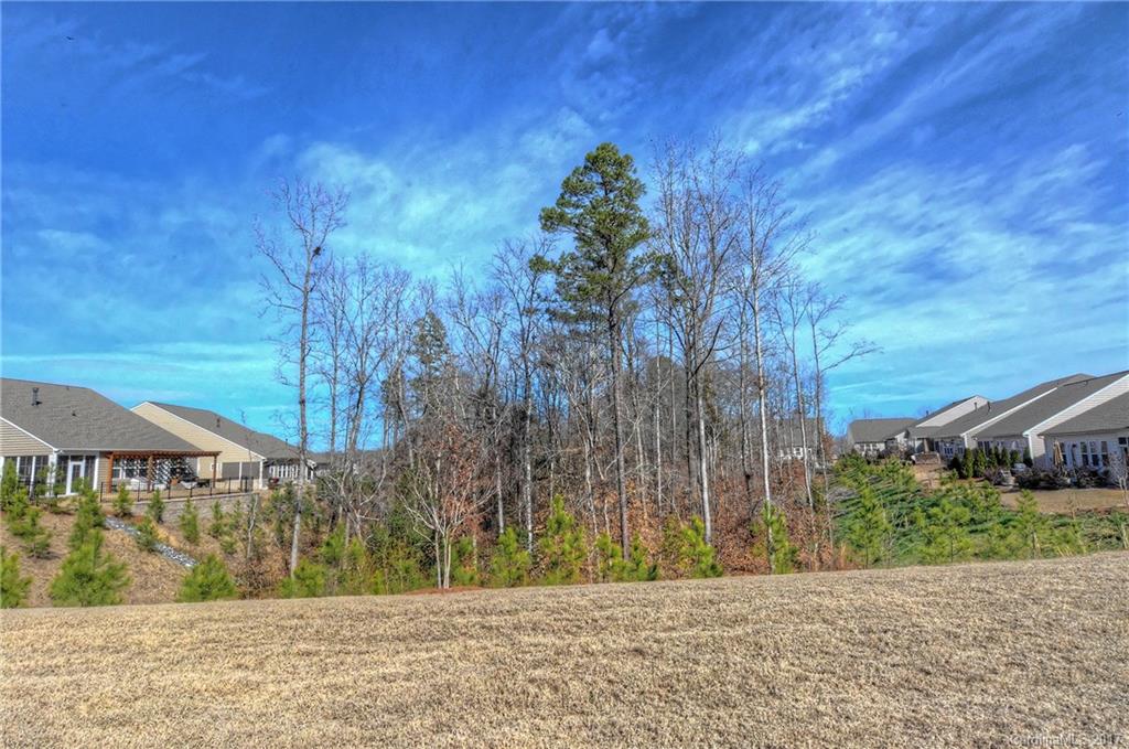 Carolina Reserve - Residential