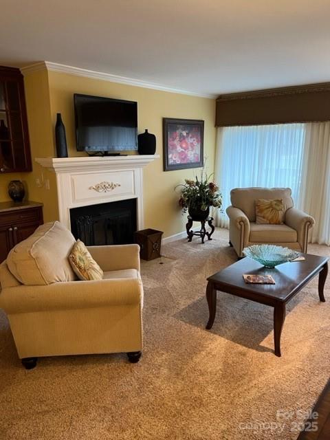 87 Willow Road B-5