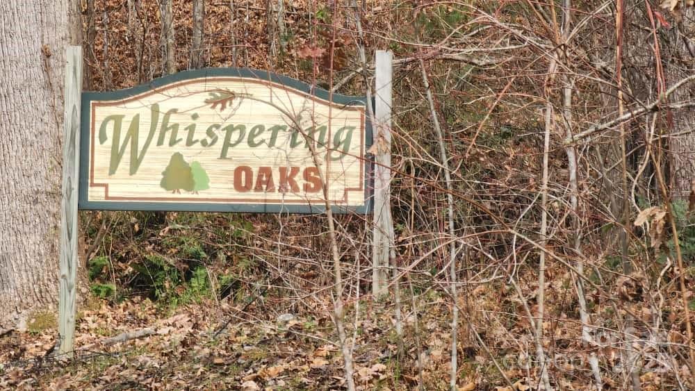 00 SATINWOOD Drive 19