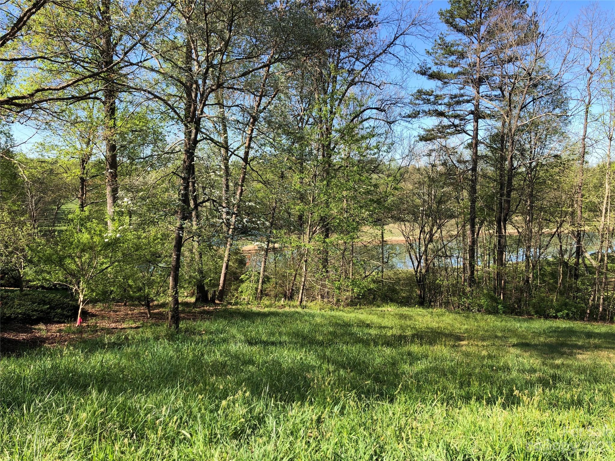 Silver Creek Plantation - Land