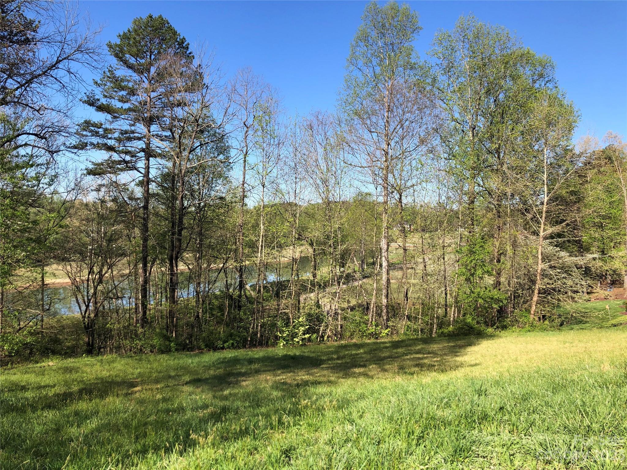 Silver Creek Plantation - Land