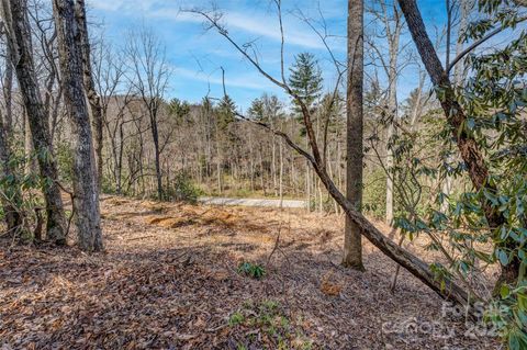 99999 Christa Lane 3 Arden NC 28742