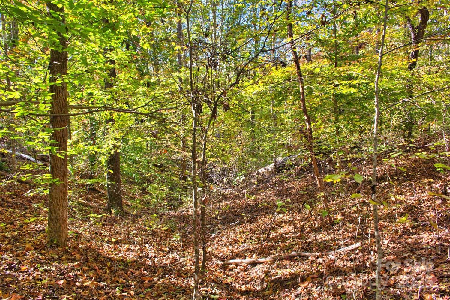 0 Bitteroot Circle 294