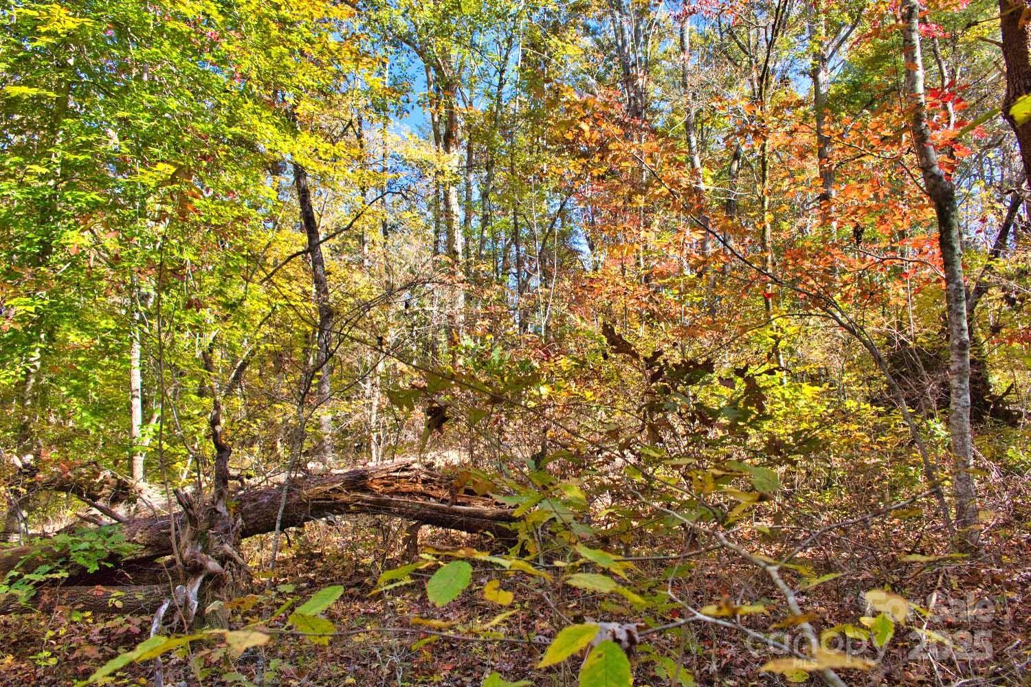 0 Bitteroot Circle 294