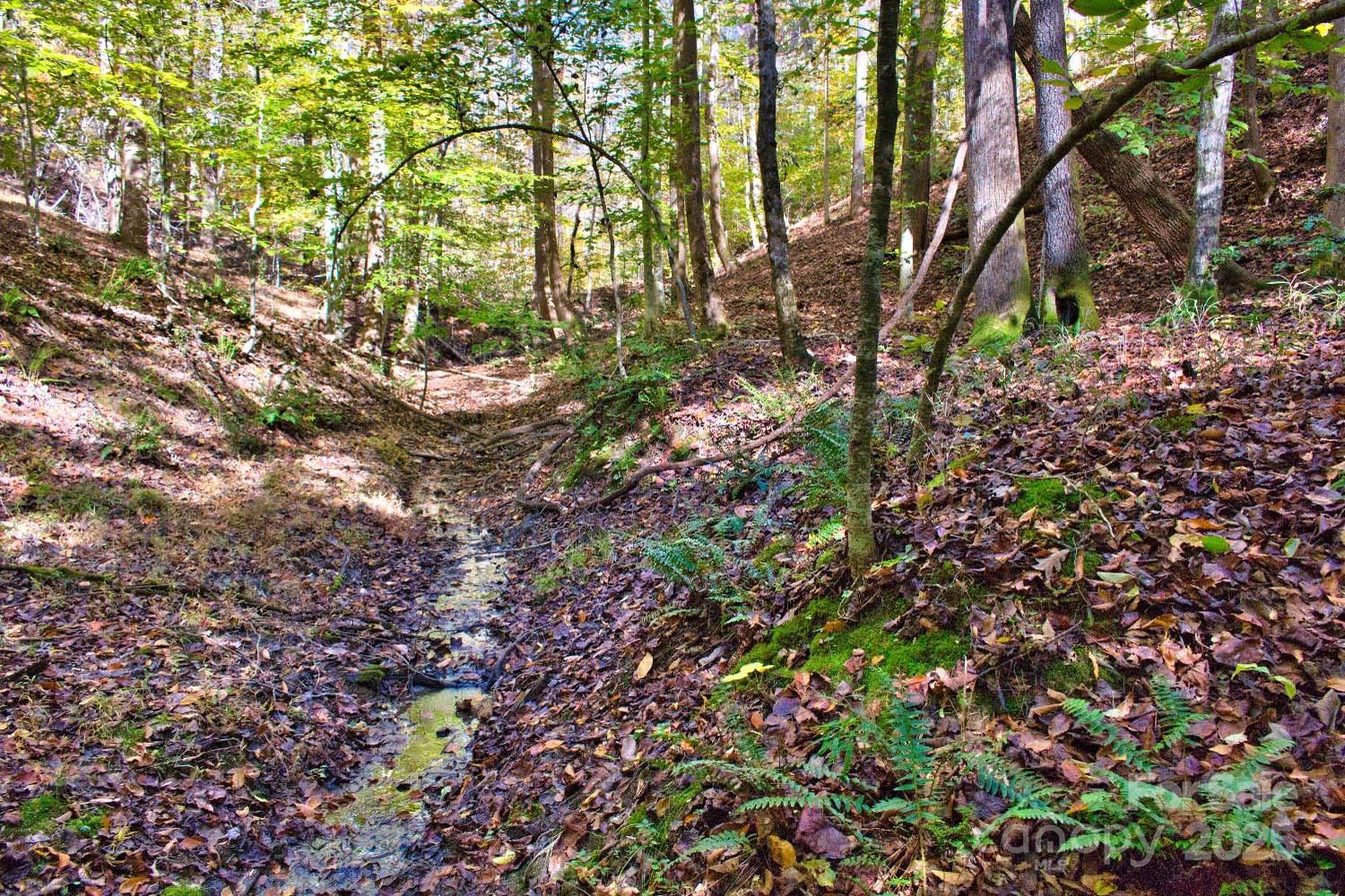 0 Bitteroot Circle 294