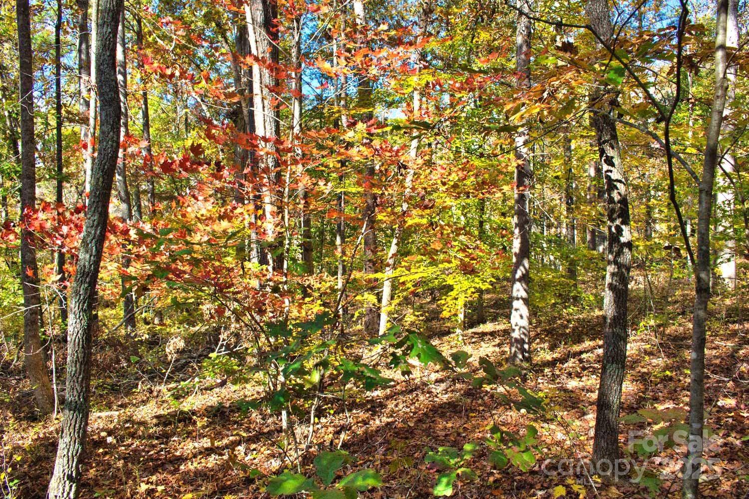 0 Bitteroot Circle 294