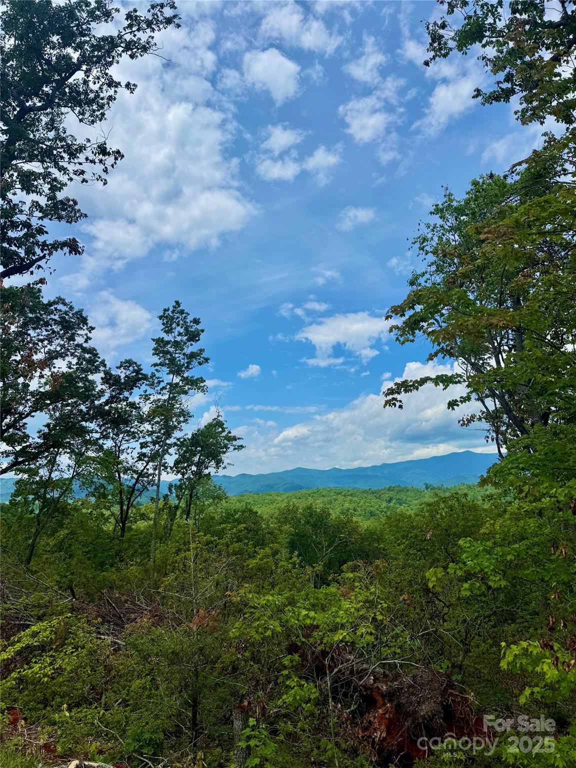 182 Warren Ridge Drive 7