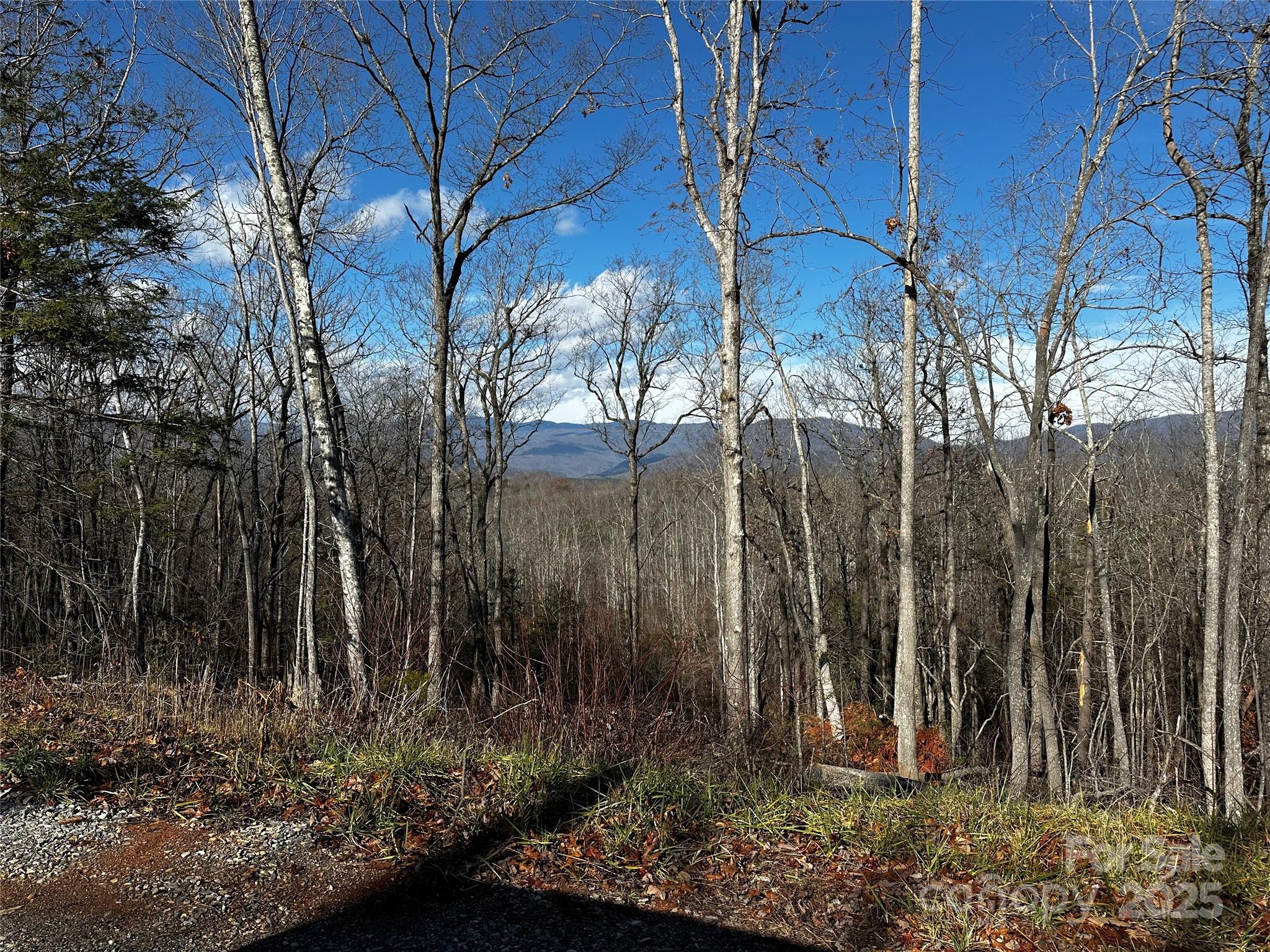 182 Warren Ridge Drive 7