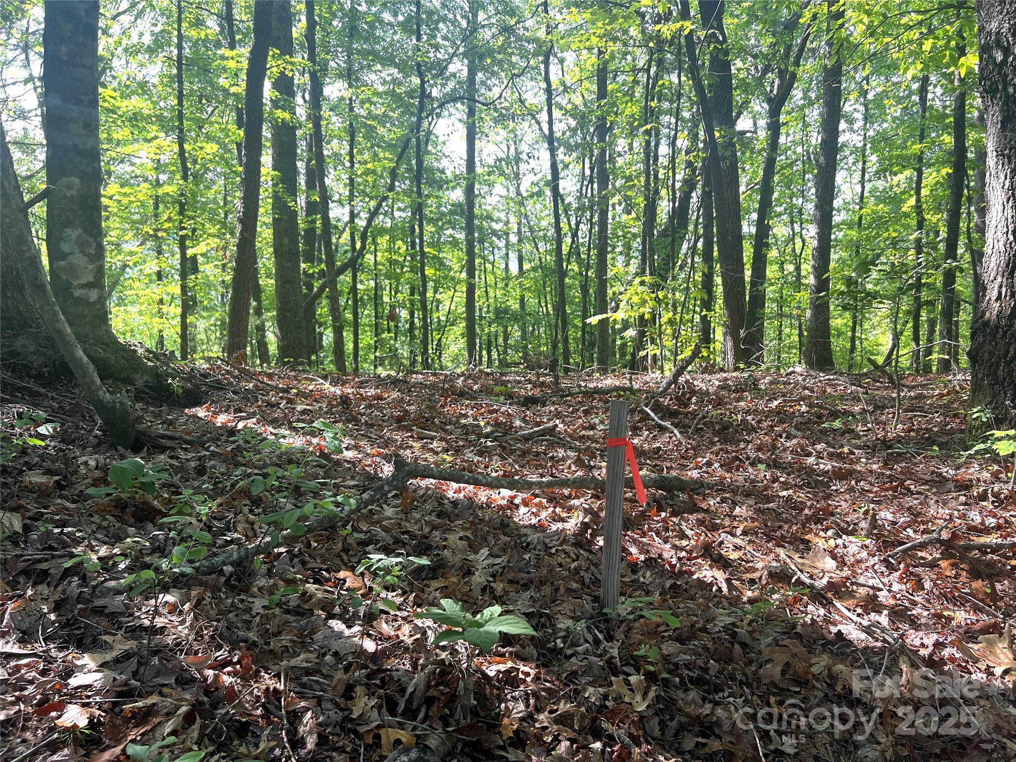 Round Mountain - Land