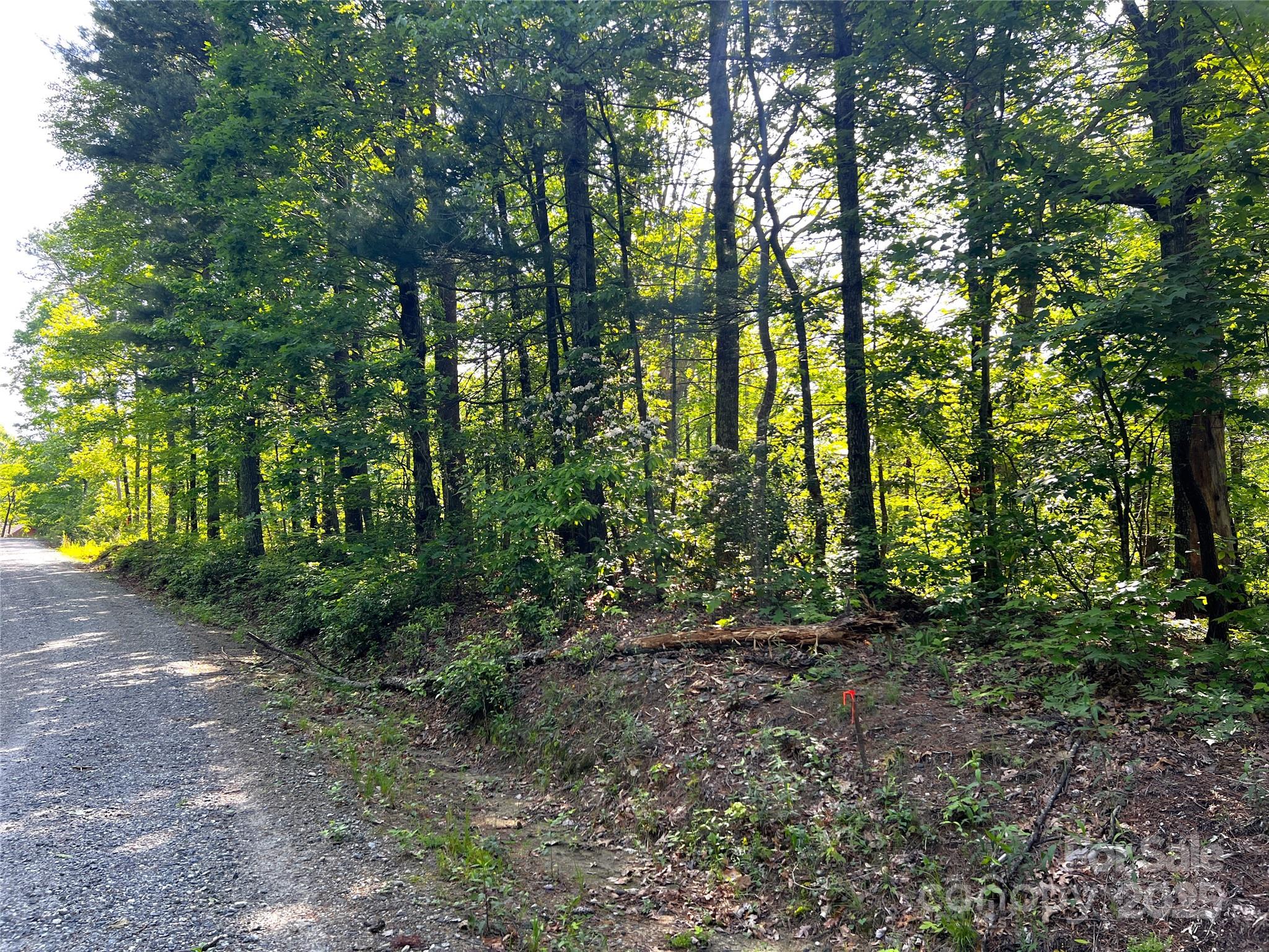 Round Mountain - Land