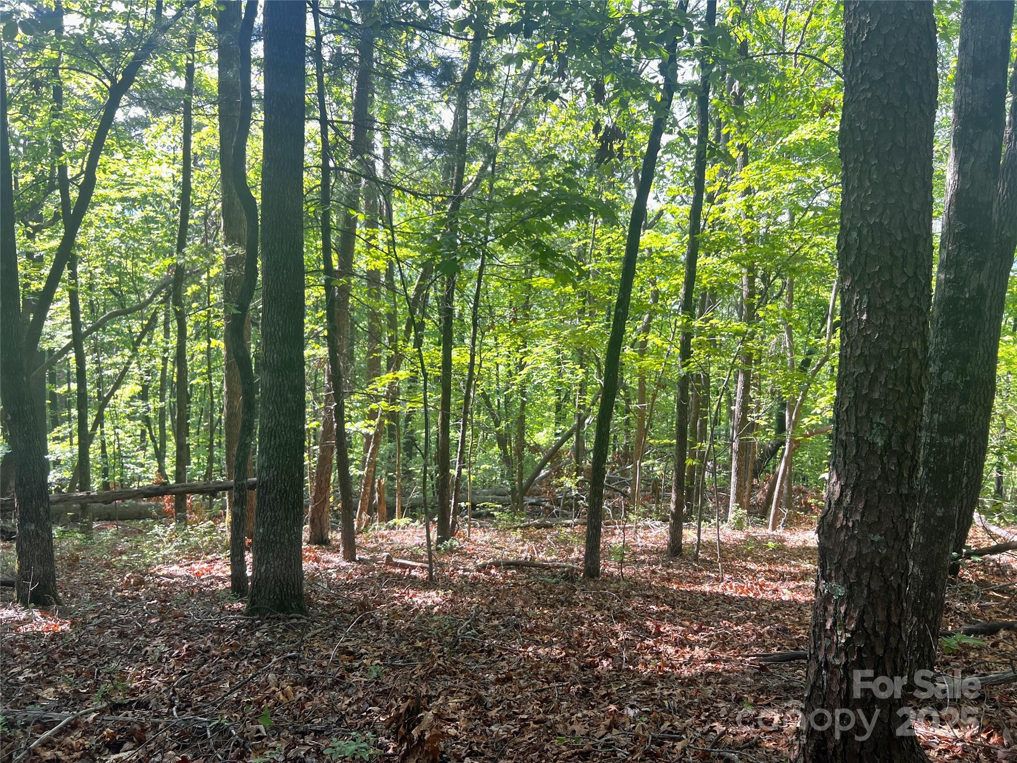 Round Mountain - Land