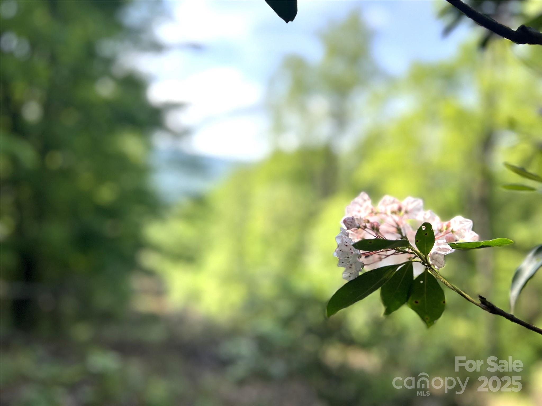 Lot 14R Arrowhead Ridge 14 Revised