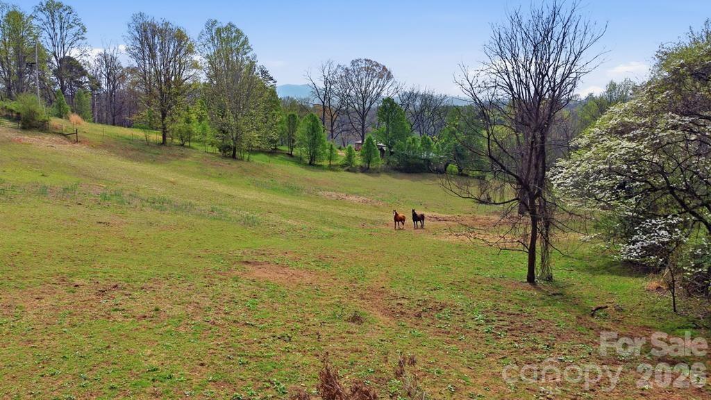 337 Town Mountain Road