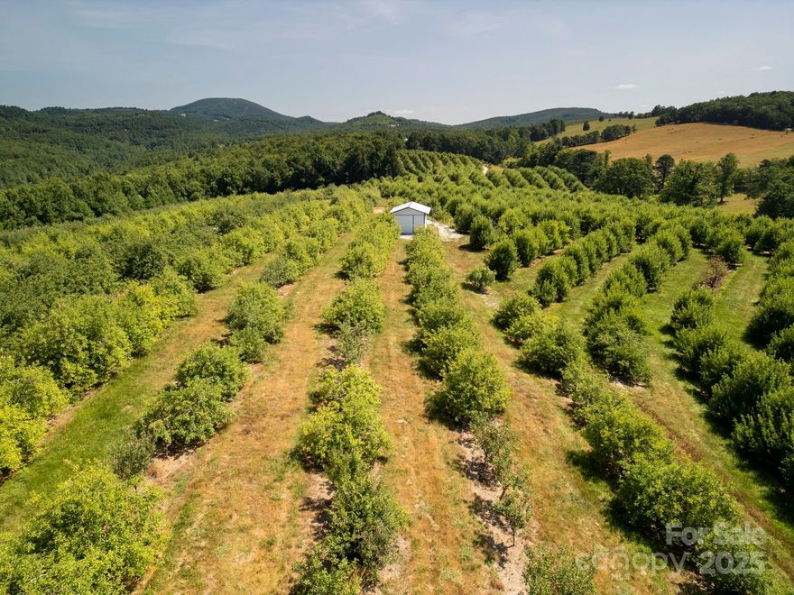 14.4 acres of beautiful land with apple orchard is available.  This beautiful, remote parcel has a shed and amazing views.   Create your multifamily compound, family estate, or recreational vacation retreat.  This remote parcel is near the top of Bright's Creek Golf Resort.  A must see to appreciate the beauty.  This tract of land could accommodate up to 9 single family residences according to county zoning.  This would be a perfect opportunity for any developer.  The property is unrestricted and can be subdivided.  

Please contact list agent to schedule a showing and obtain directions.  Property is on a remote, one lane, dirt road.