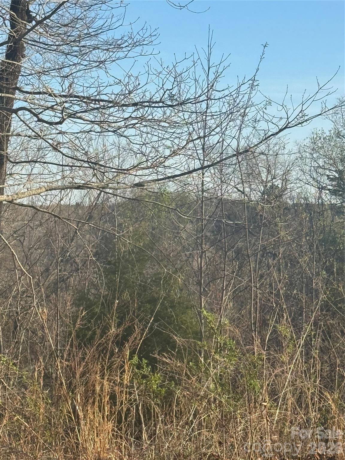 0 Willow Top Lane 317