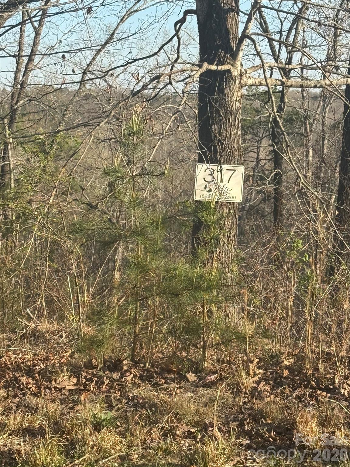 0 Willow Top Lane 317