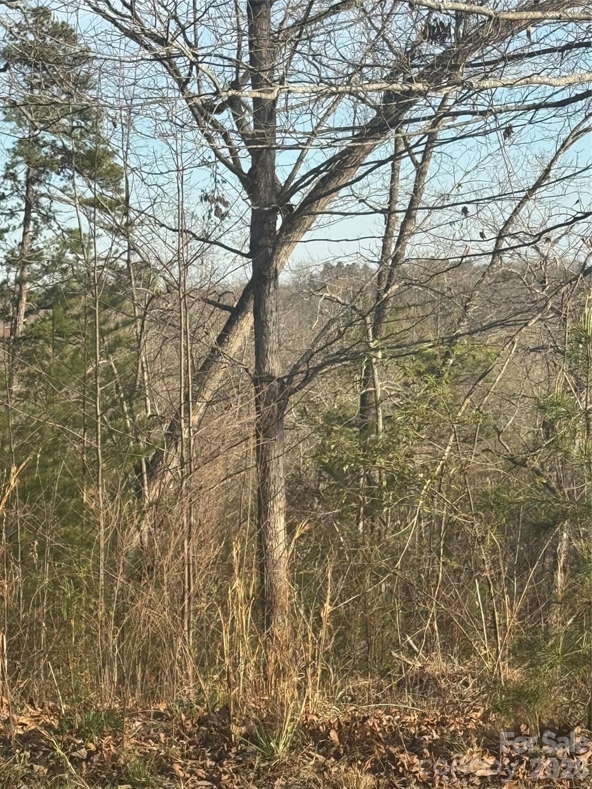 0 Willow Top Lane 317