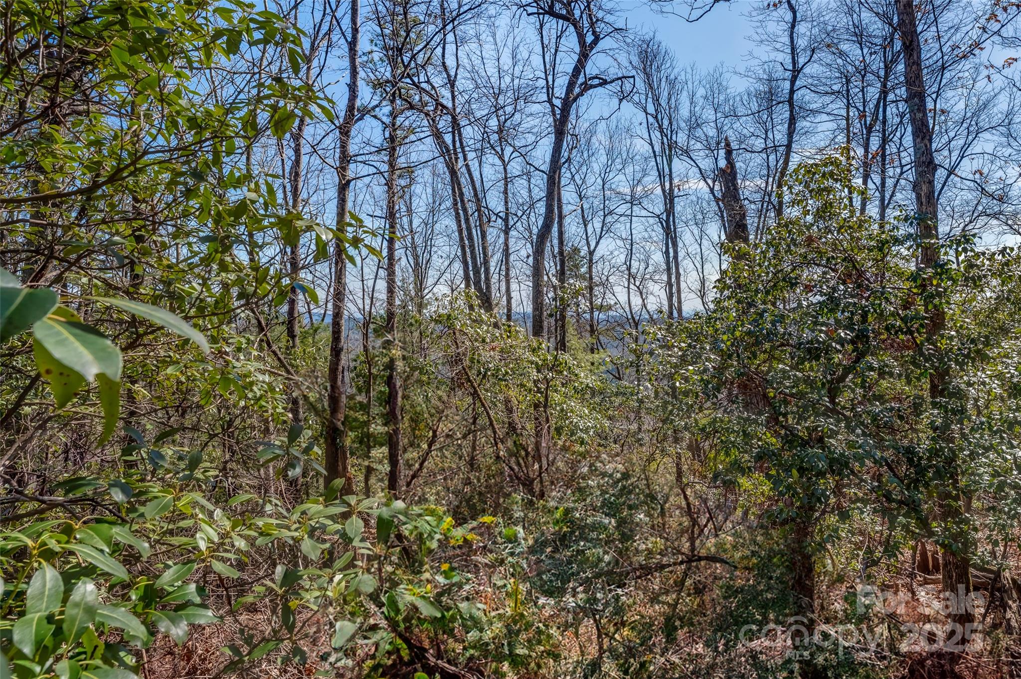 TBD Loganberry Lane