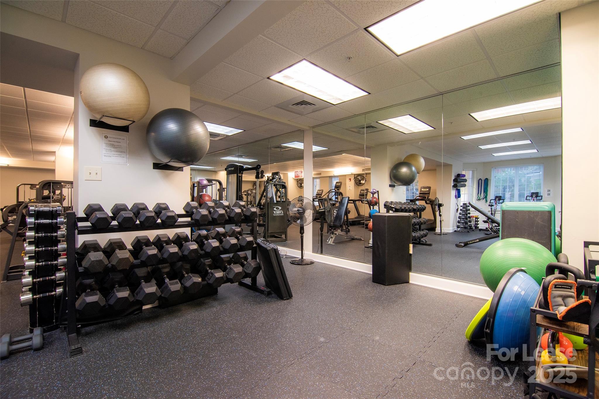 Fifth And Poplar - Residential Lease