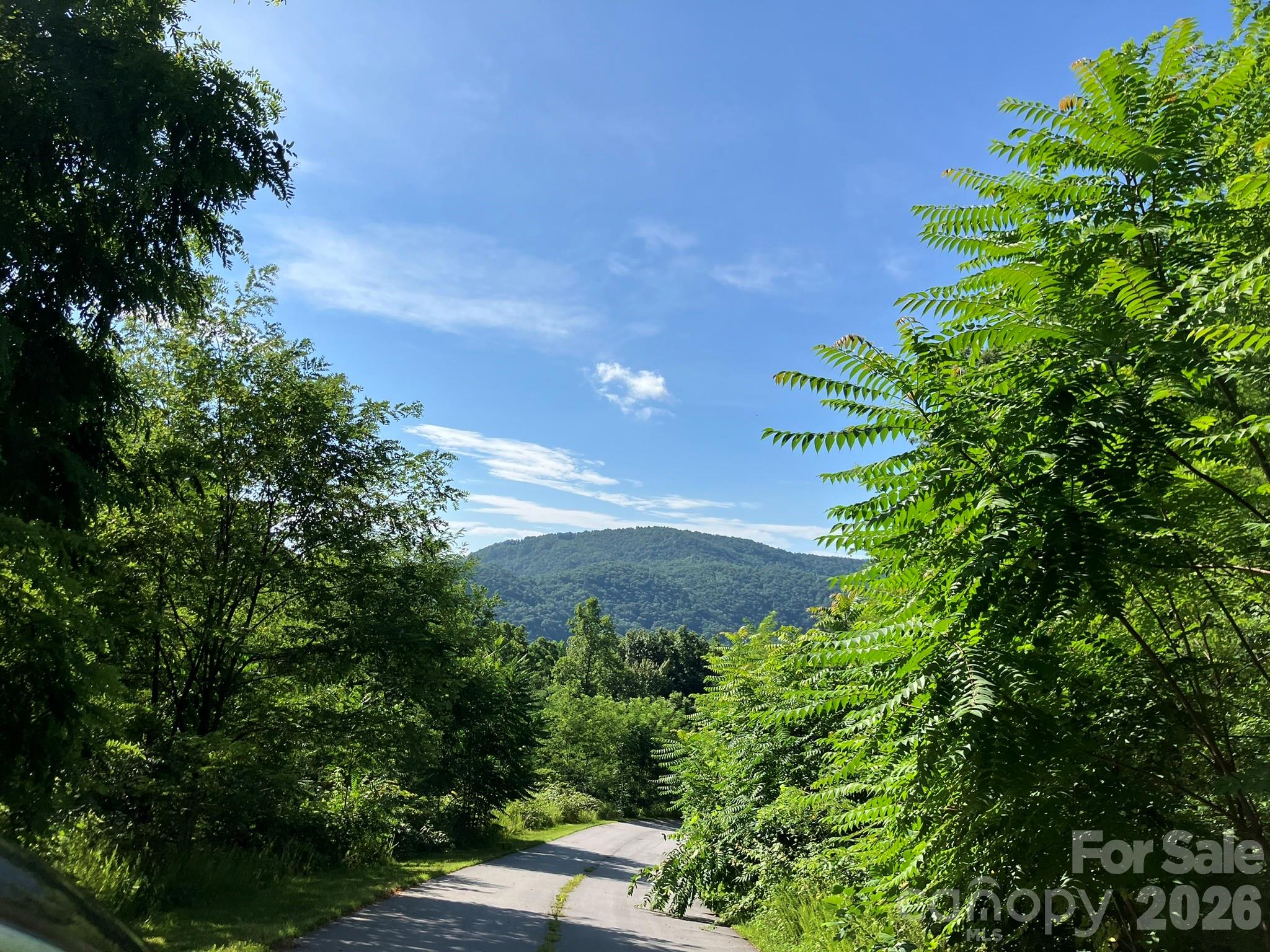 Grey Rock at Lake Lure - Land
