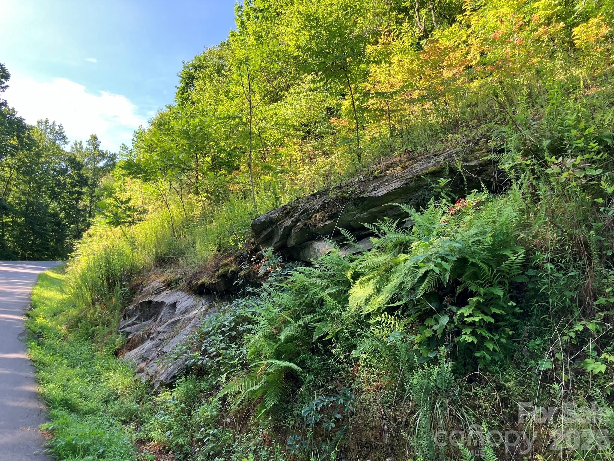 Grey Rock at Lake Lure - Land