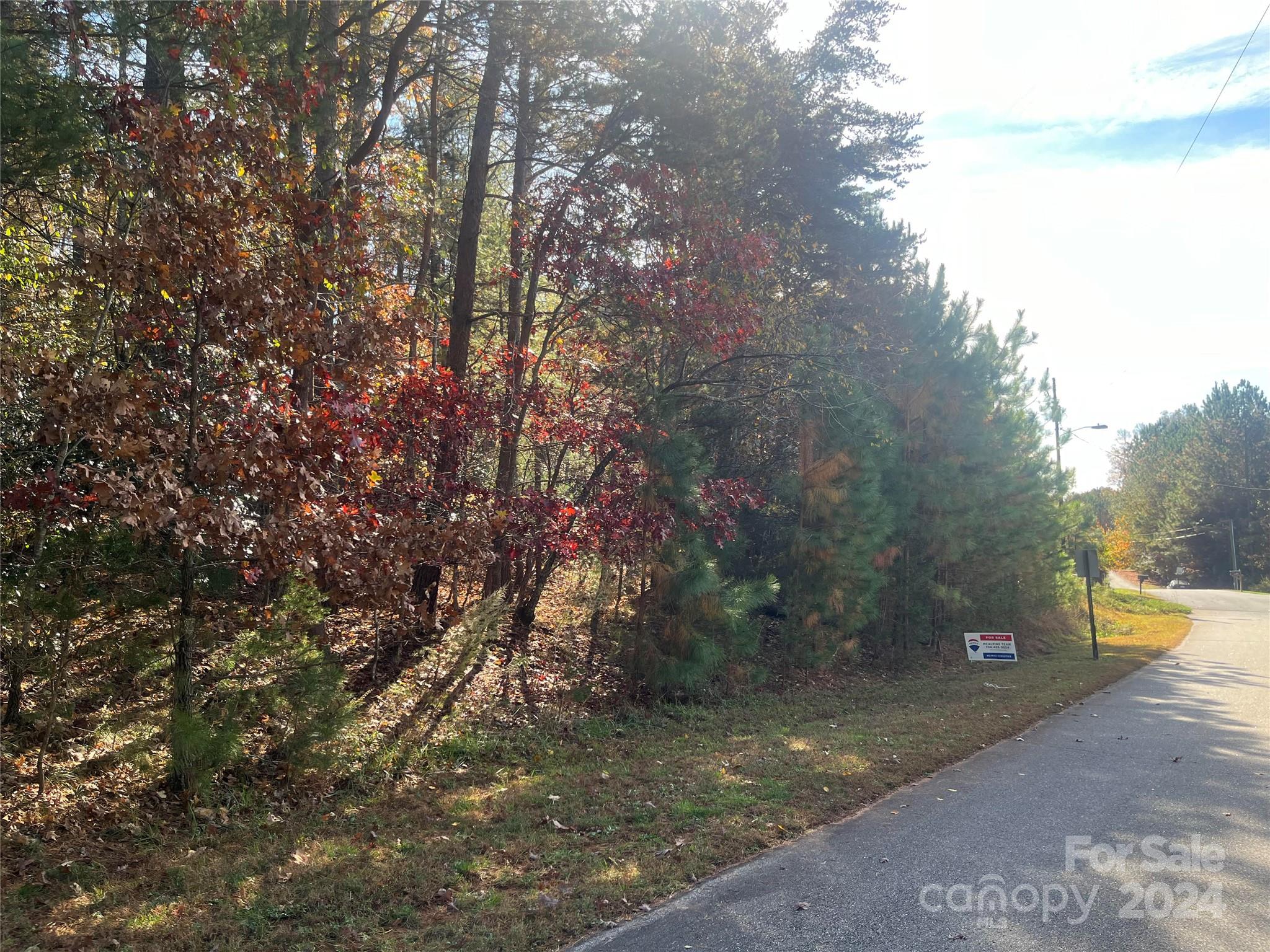 Hayes Mill Landing - Land