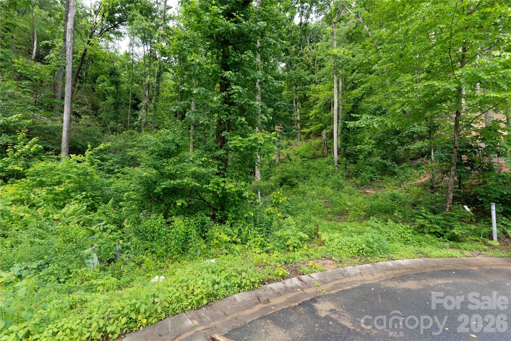334 Carriage Crest Drive
