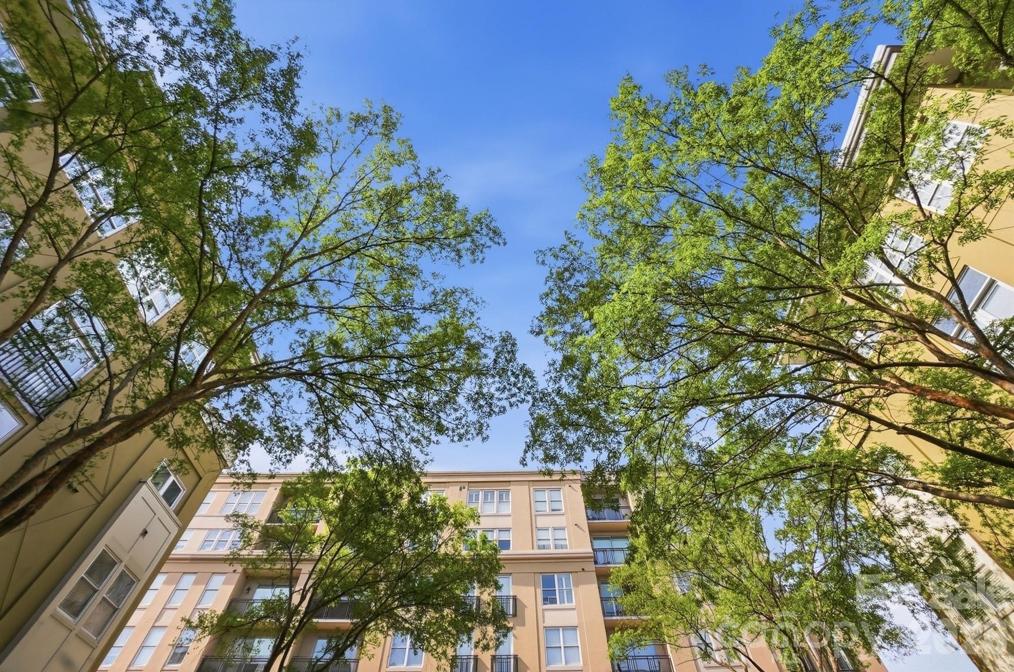 Latta Pavilion - Residential