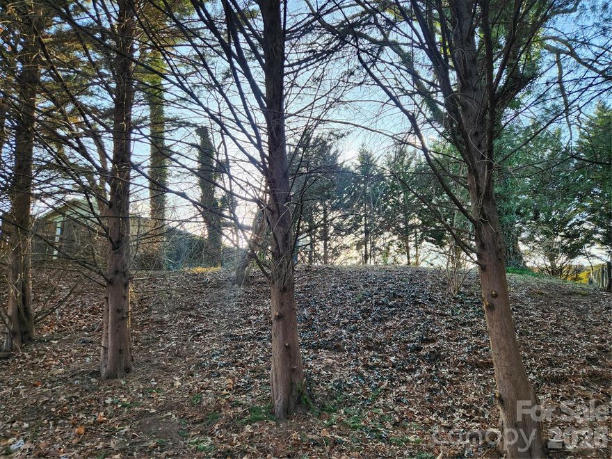 Location, location, location! This rare opportunity features a generously sized lot perched on a gentle hill, offering a sense of elevation and privacy while still placing you in the heart of one of Asheville’s most vibrant areas. Enjoy the convenience of being within walking distance of the renowned River Arts District, where galleries, studios, dining, and entertainment create a lively, creative atmosphere year-round.

Just minutes away, you’ll find downtown Asheville, Mission Hospital, and AB-Tech Community College, making this an ideal spot for homeowners, investors, or developers seeking exceptional accessibility.

The surrounding neighborhood is experiencing exciting growth, with new construction rising throughout the area as the community continues to evolve and revitalize. Whether you’re looking to build, invest, or create a personal retreat close to Asheville’s best amenities, this property offers both immediate value and long-term potential in a rapidly developing corridor.