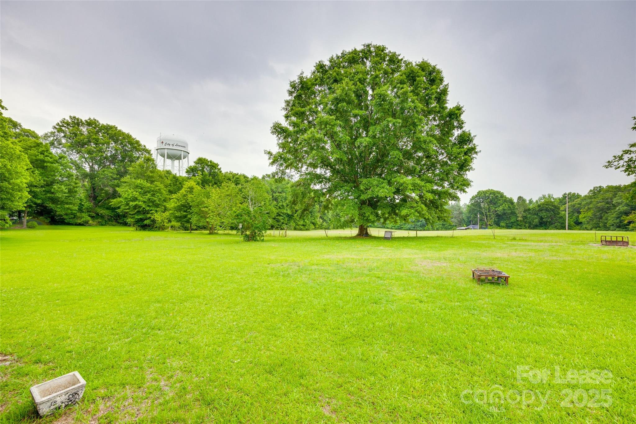 None - Residential Lease