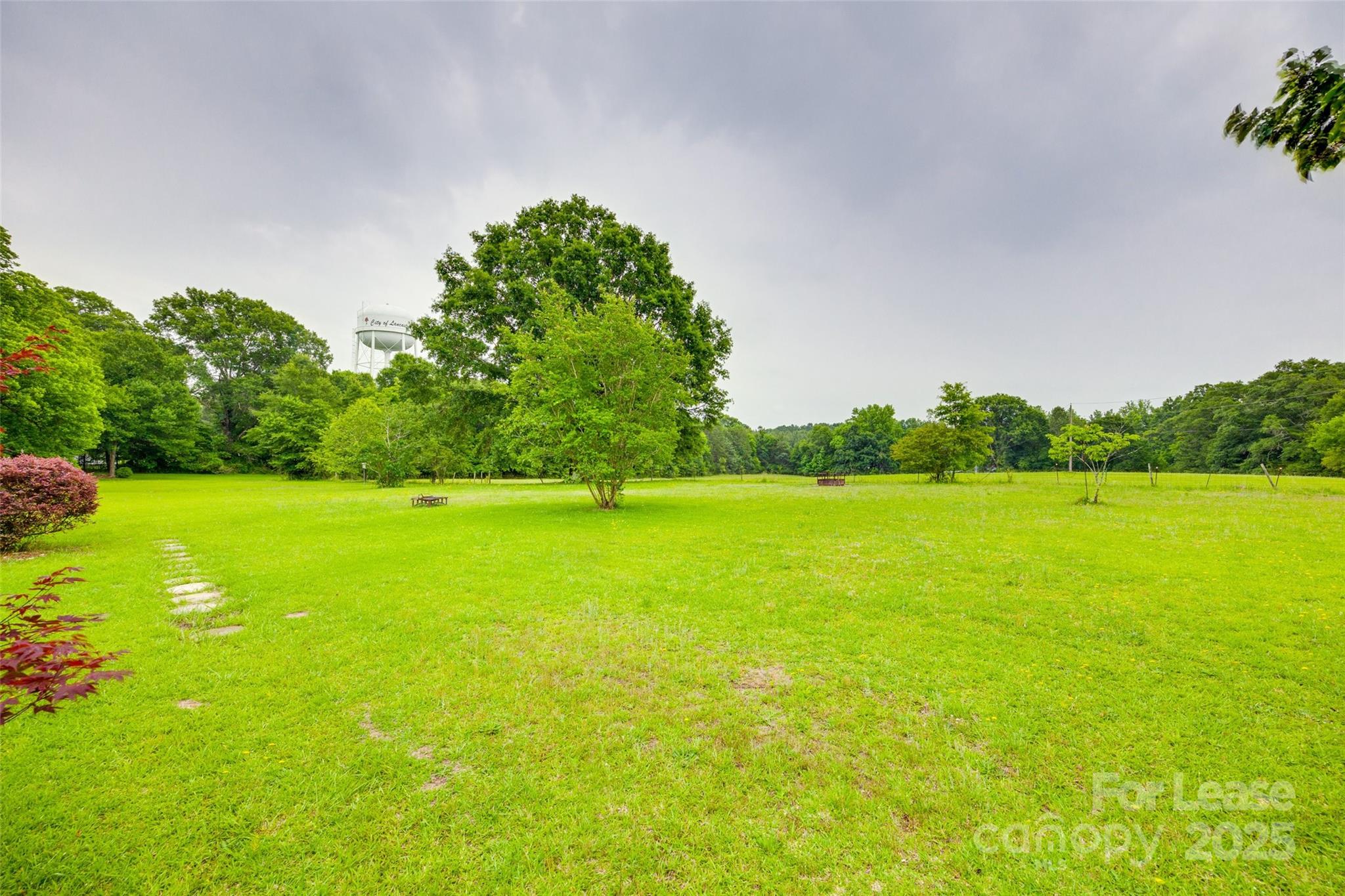 None - Residential Lease