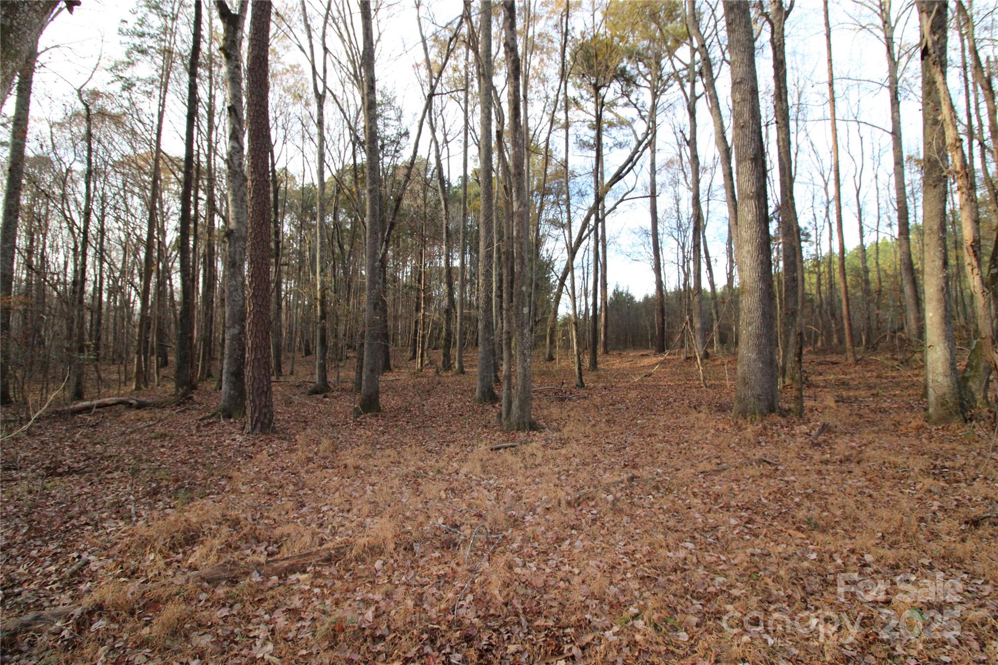 14.5+/-AC Pioneer Road
