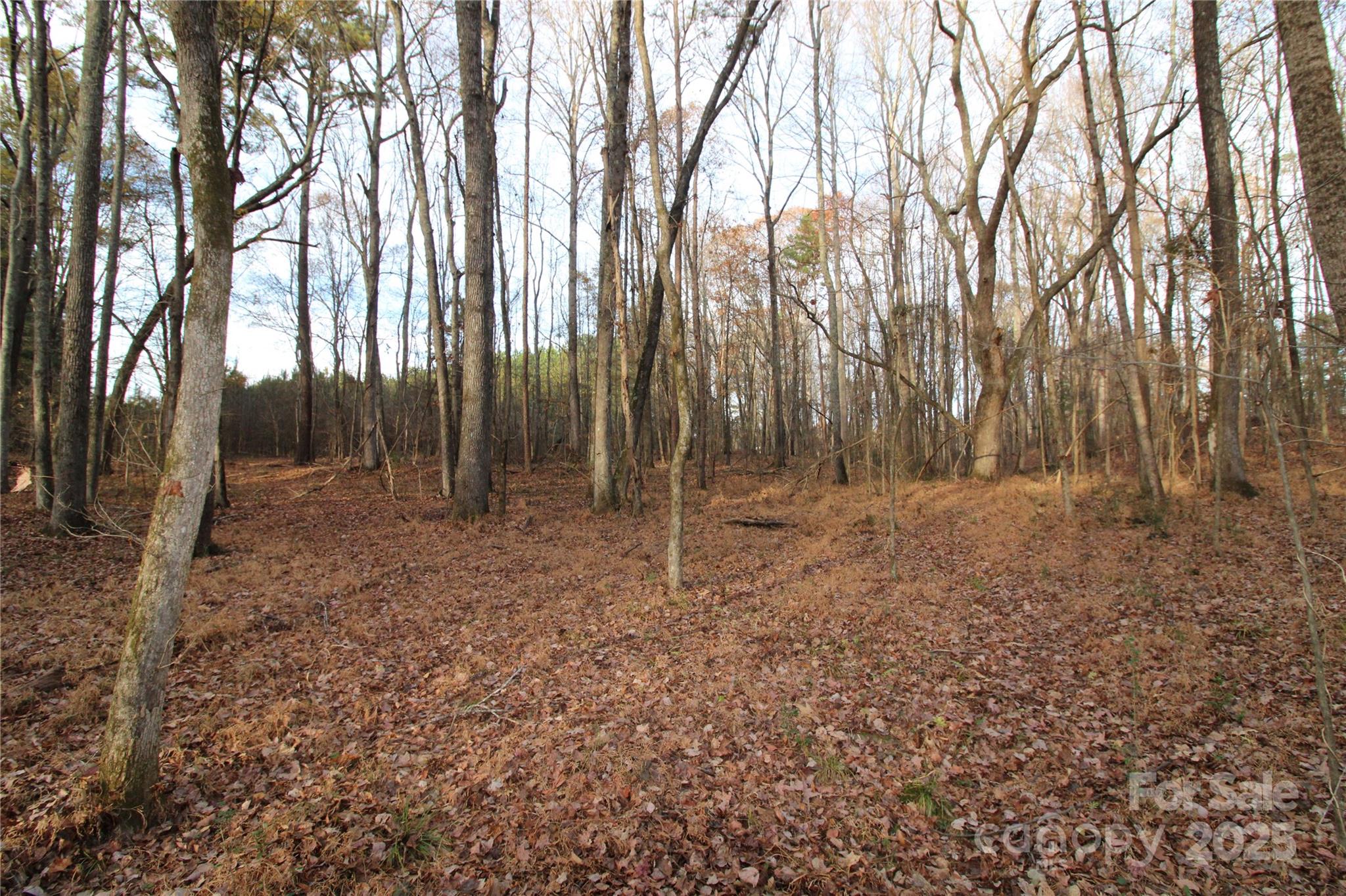 14.5+/-AC Pioneer Road