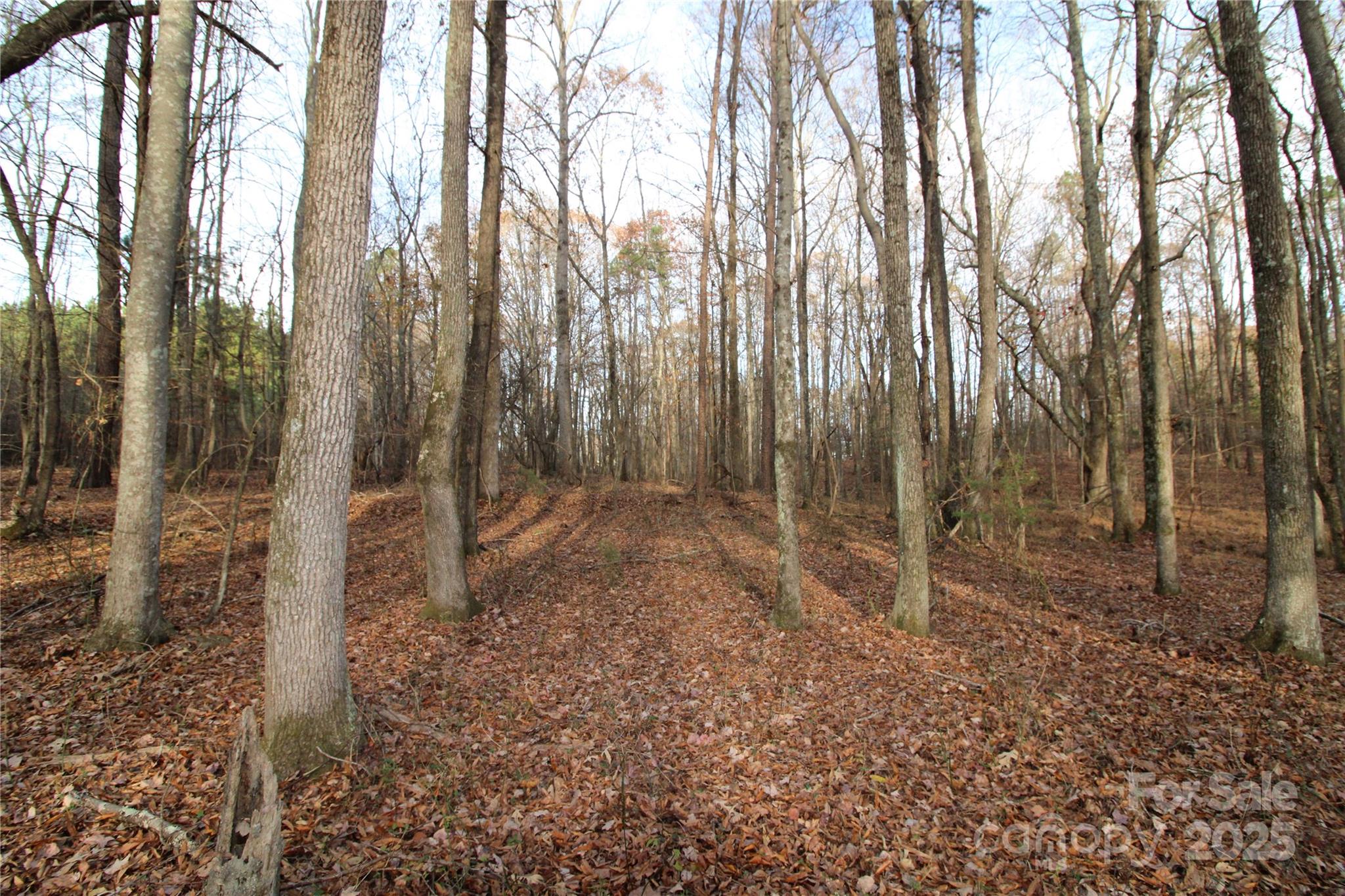 14.5+/-AC Pioneer Road