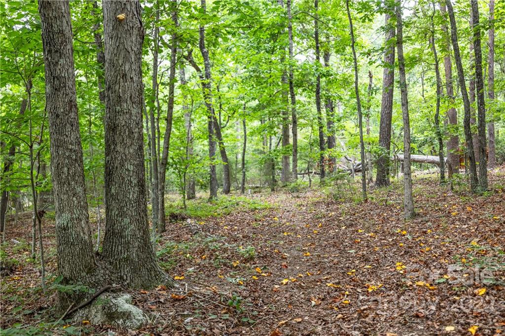 Horseshoe Bend - Residential