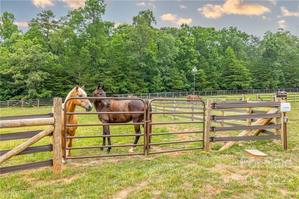 Horseshoe Bend - Residential