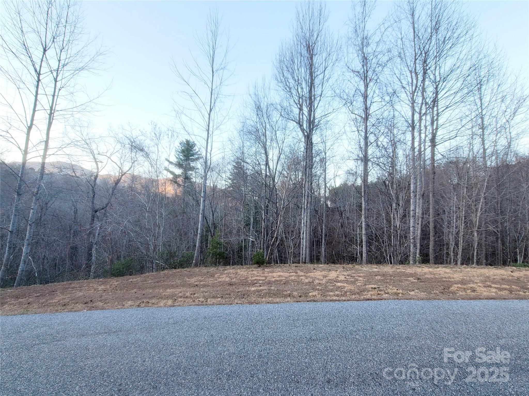 Highlands of Lake Lure - Land