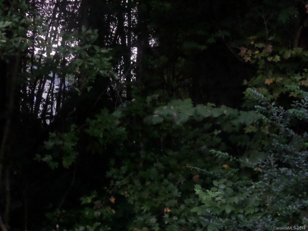 Biltmore Park - Land