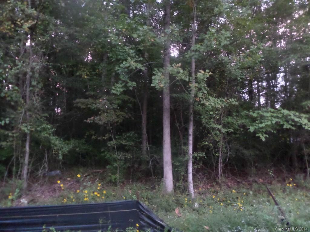 Biltmore Park - Land