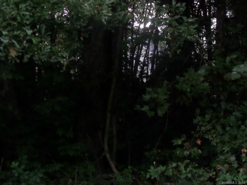 Biltmore Park - Land