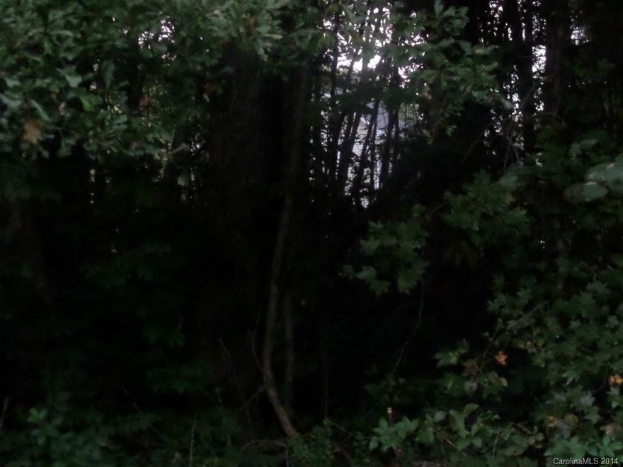 Great lot to build your dream home in growing area.  Must be purchased with 12408 Canal Dr