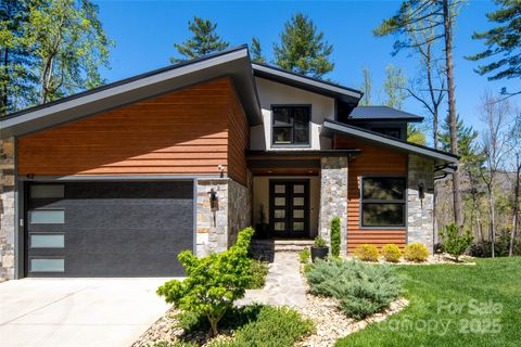 42 Spring Cove Road Asheville NC 28804