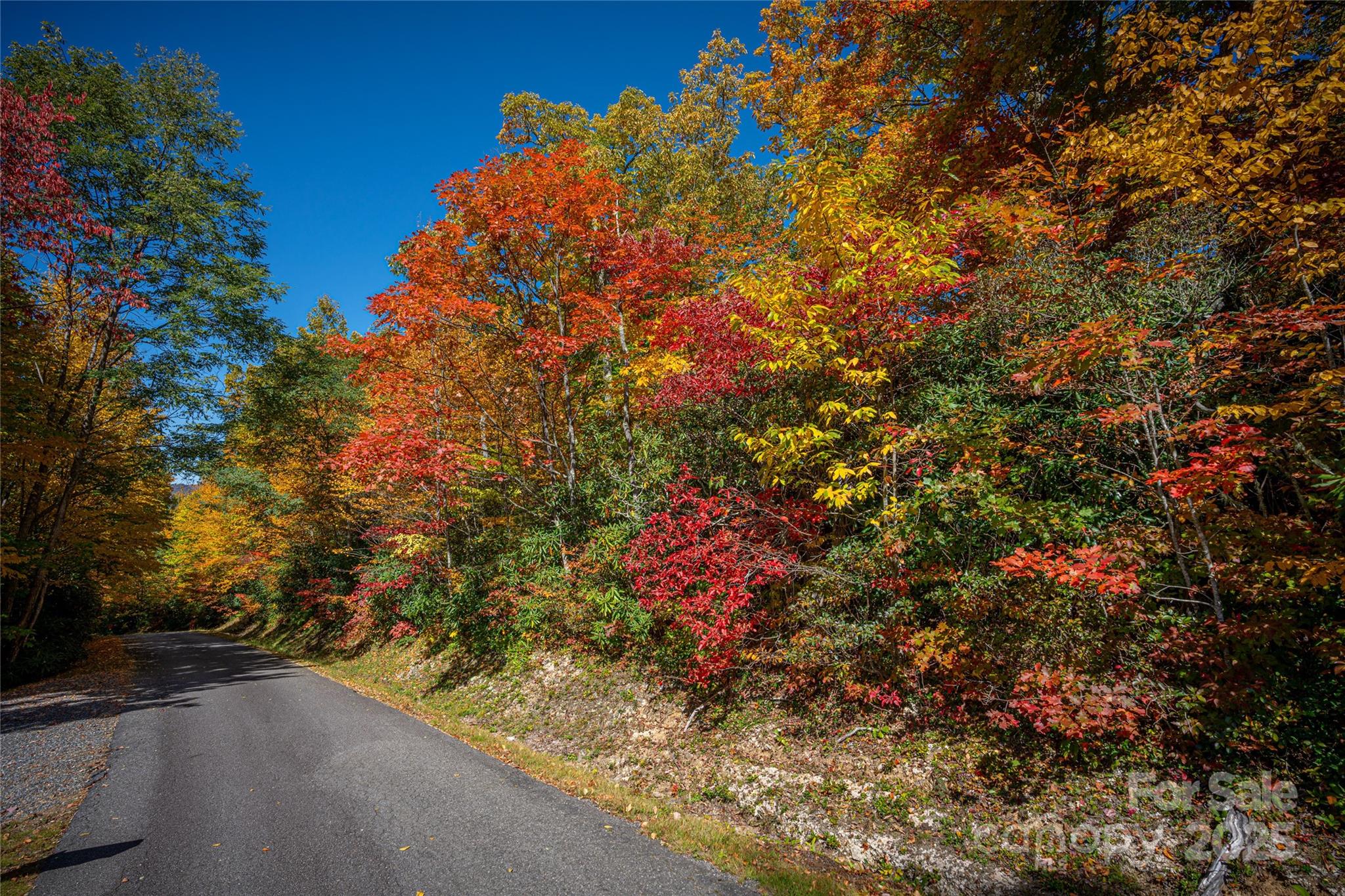 Upper Woodlands - Land
